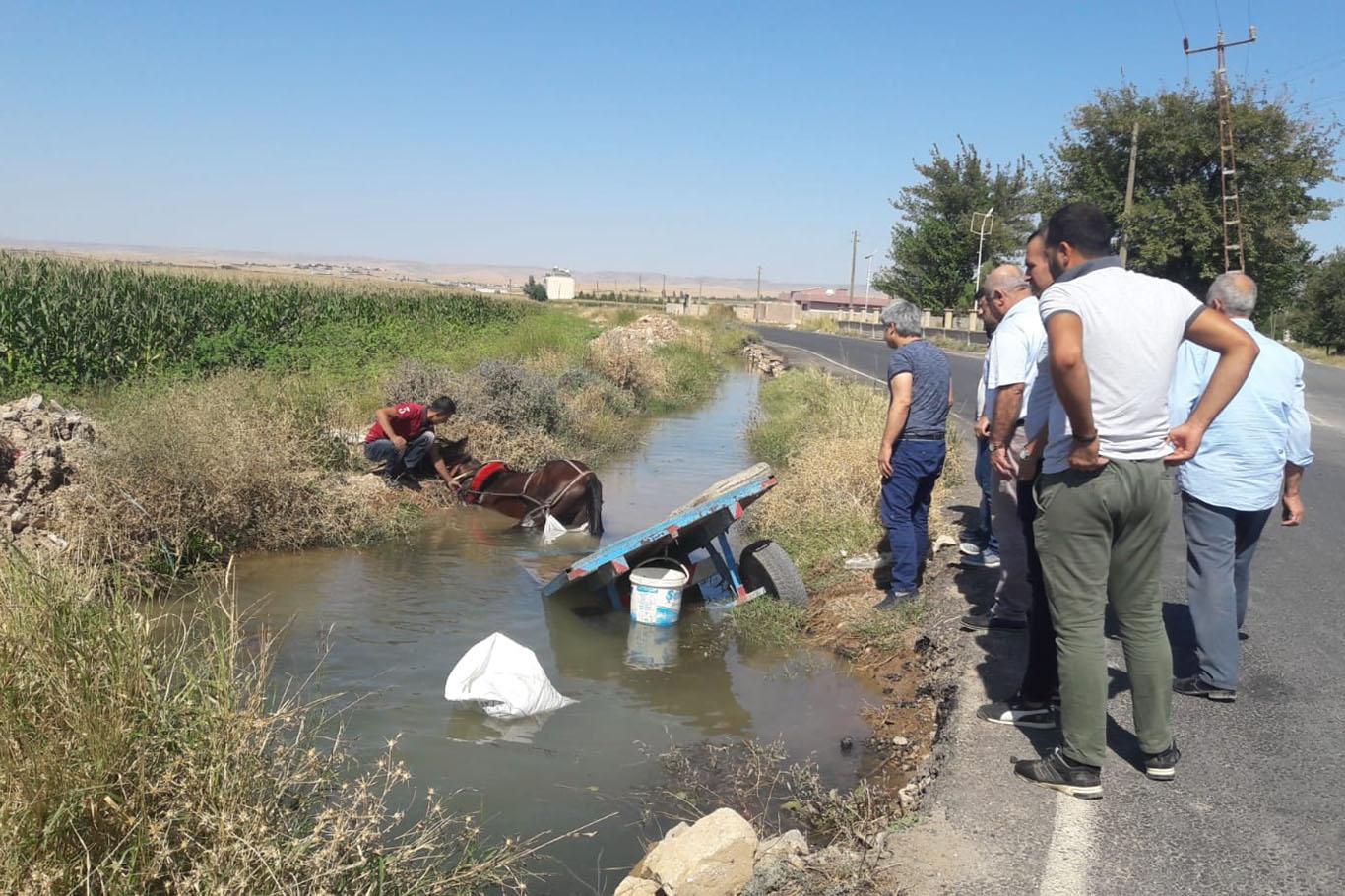 At arabası sulama kanalına düştü At arabası sulama kanalına düştü
